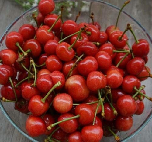 盘点最补血的水果，多吃这些，补气养血美容养颜