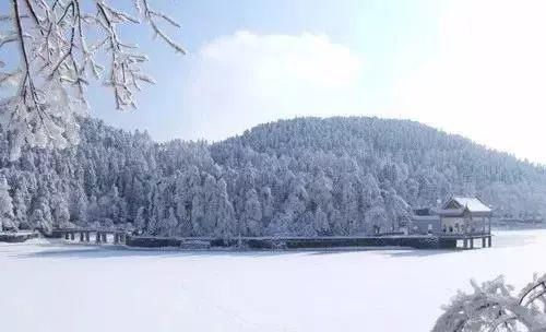 八宝饭&美好食间 | 大雪寒渐浓，万物冬藏待春来