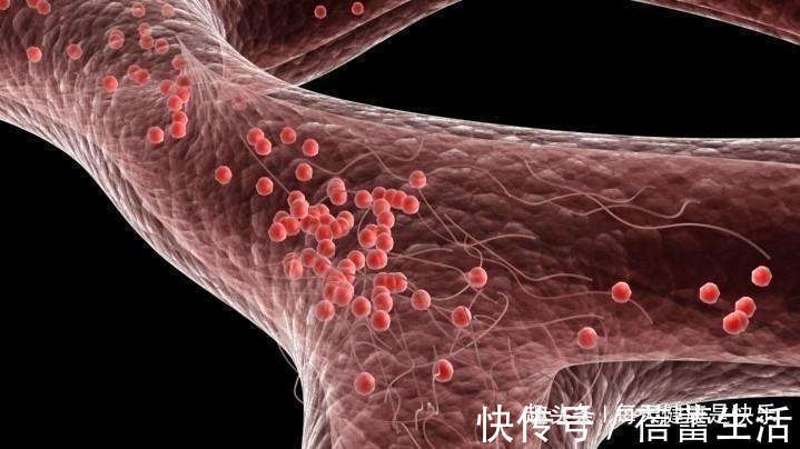 泡水|黄芪和它是黄金搭档,没事喝两杯,养肝护肾,身体元气满满!