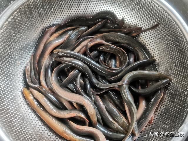 这个鱼被赞为“水中人参”，教你东北做法，不煎不炸，鲜嫩可口