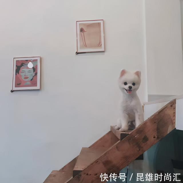 厨房|没人要的35㎡老破房,被她买下,改造装修后,成为弄堂里的豪宅