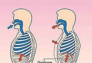 肌肉|为什么下腹部怎么练都平不下去因为两个错误你每天都在重复