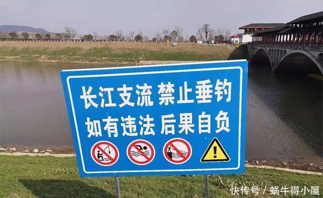 春天|限钓10年，只允许一竿一线一钩的钓法，传统钓的春天要来了吗？