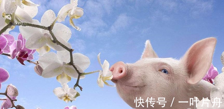 奥斯卡奖|这些冷知识真有用! 人不睡觉能熬多长时间！