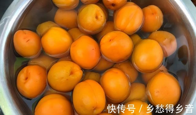 教你做酸酸甜甜的杏干，储存时间久，味道还好！