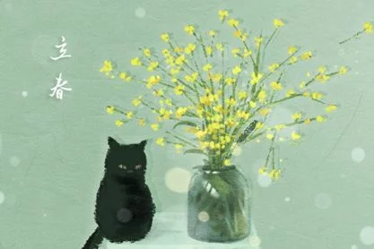 立春是几时几分