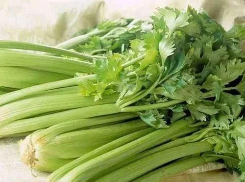 芹菜的“死對頭”，兩者不能同食，尤其最后一種，早知早受益