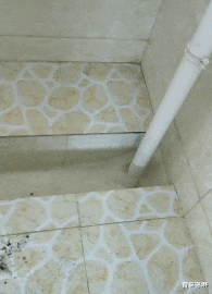 脑洞|“为什么瓷勺上面有个洞?这个洞有什么用啊?”哈哈哈哈网友们的脑洞太大了