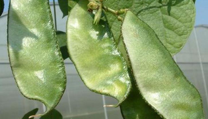 健康|中年人要学会吃3种食物,抗衰老,排毒素,血管更通畅