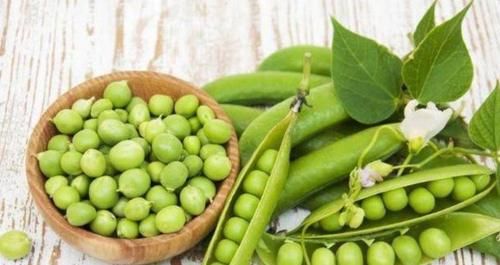 王醫師|夏天不妨多吃三種食物，排毒養顏，延緩衰老，早吃早好！