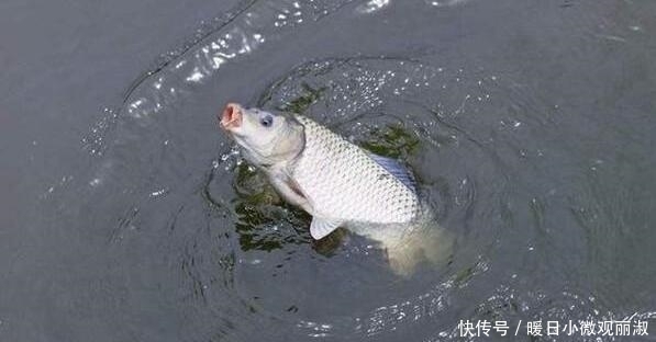 错觉|钓鱼时间经常会产生这六种错觉,你会有吗?