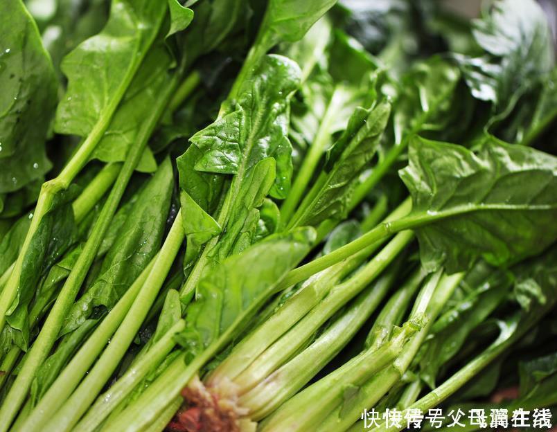 骨质疏松|骨科医生:1种食物当“零食”吃,骨密度升至1.8,骨骼坚硬如石