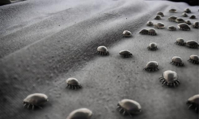 脸部|床上有没有螨虫,身体4个信号告诉你,除螨土办法,赶走床上螨虫