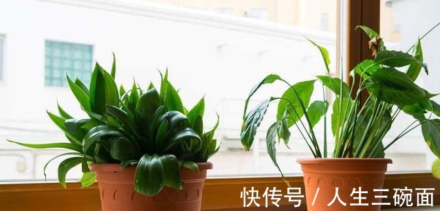 甲醛|三岁宝宝突患白血病,哭着说都怪姥姥!姥姥转过头一言不发!