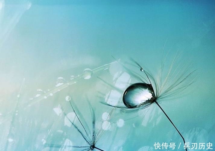 童话里的世界是个梦幻的地方,童话里的世界是个奇妙的地方!