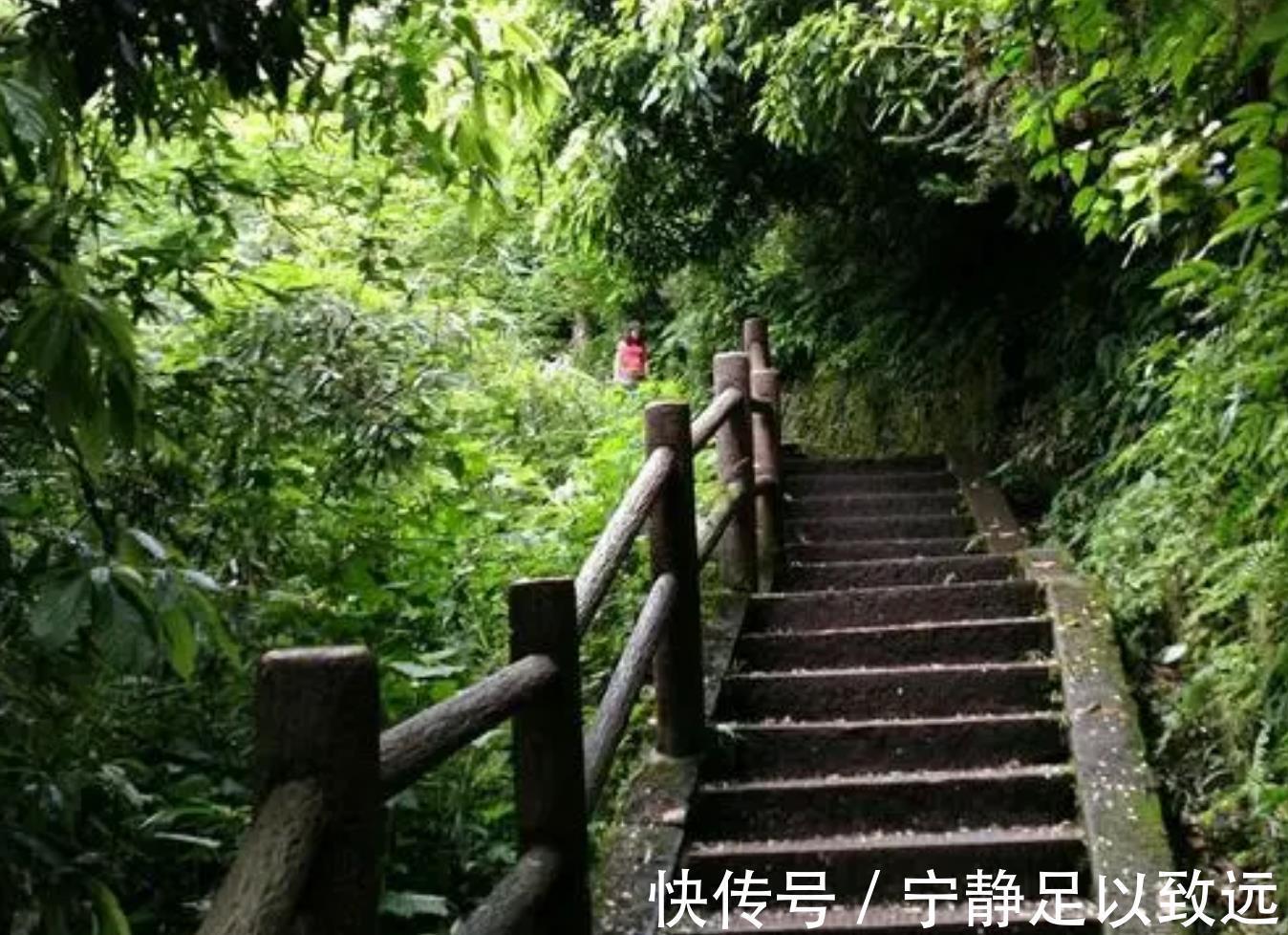 海拔|成都“红叶”打卡地：2h直达原始密林，周末小长假必选！