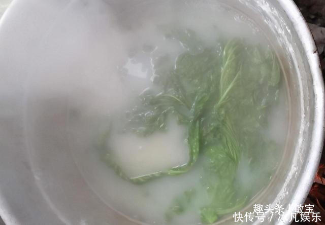 腌制酸菜得牢记“3要点”!酸菜耐放不发霉,酸爽脆嫩味道赞
