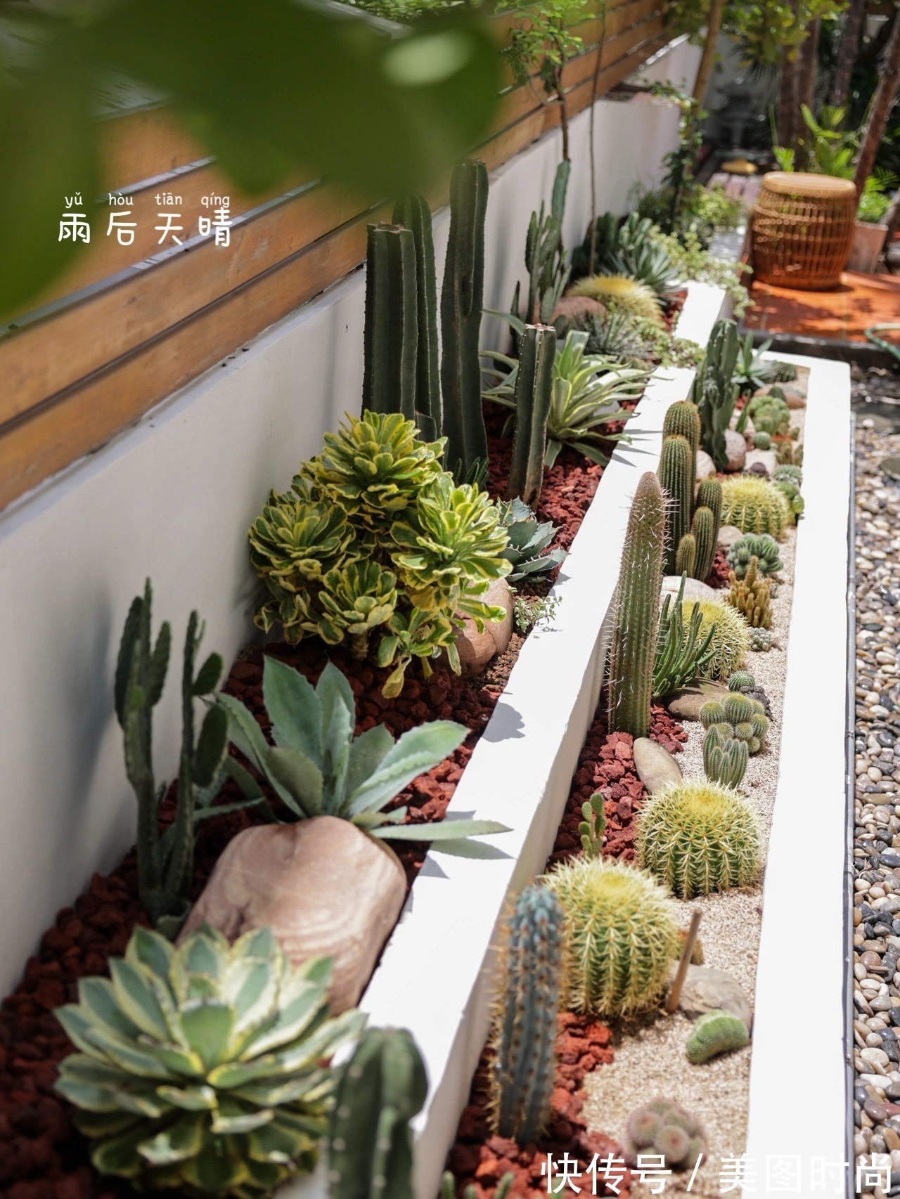 预算8万，改造170㎡别墅“沙漠植物懒人花园”，太好看了