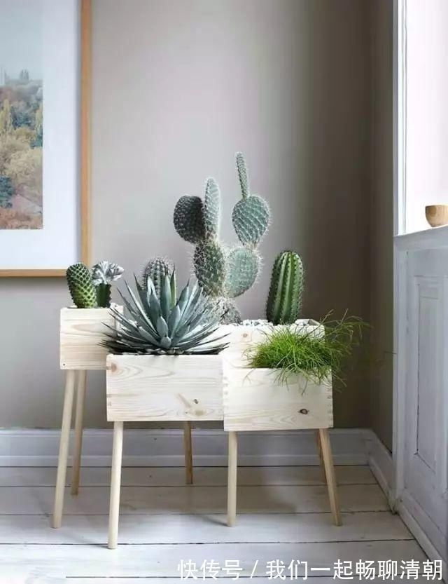 花都|把这些东西倒进花盆里，家里的花都长疯了！