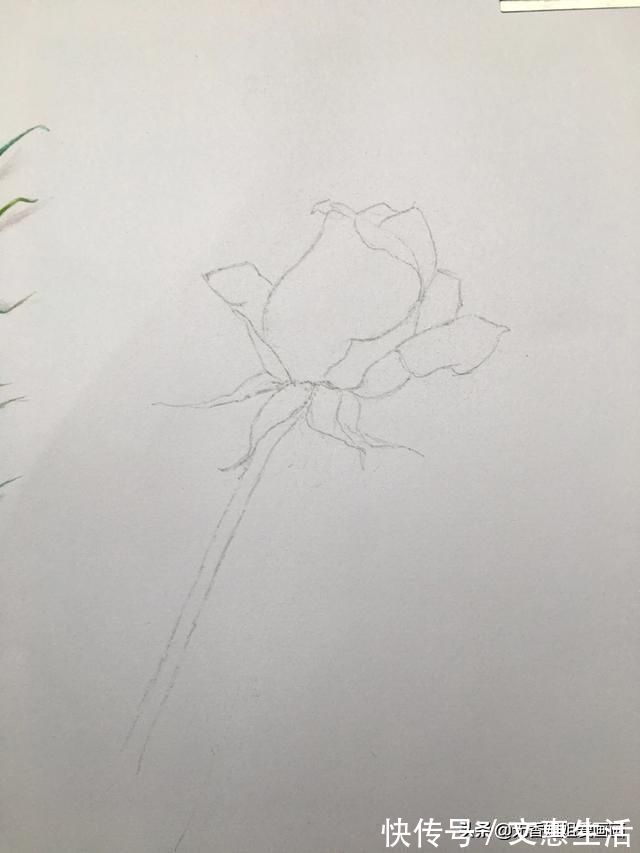 玫瑰花!手绘逼真的玫瑰花,只要四步就能学会,快来看看吧