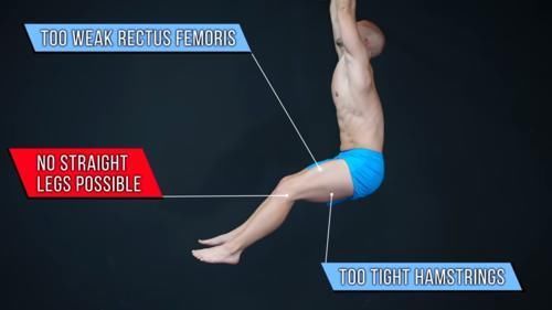 髋屈肌|练腹总是找不到感觉？核心力量薄弱、2个动作帮你解决！