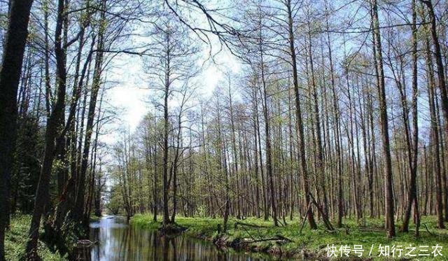 苏波|距苏波边境8公里的别墅,坐落于密林之中,为何成苏联终结之地