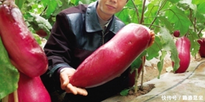 航天技术 把种子放在太空一段时间,返回地球后种出来,会比较大吗?