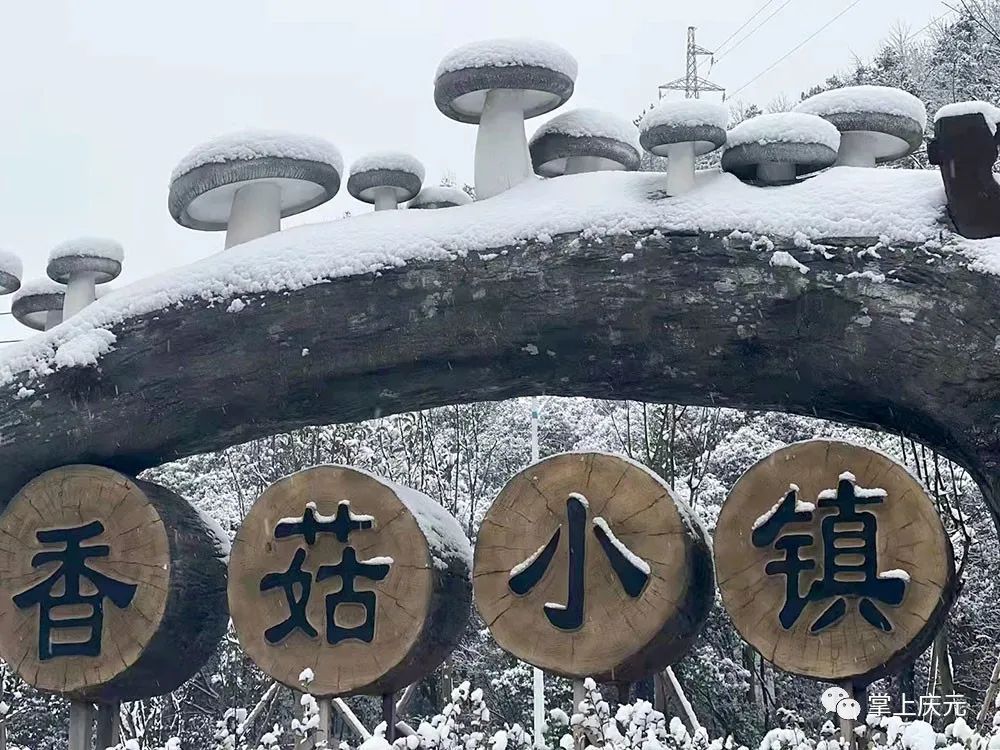 叶武|雪中庆元，每一帧每一秒都美到窒息！