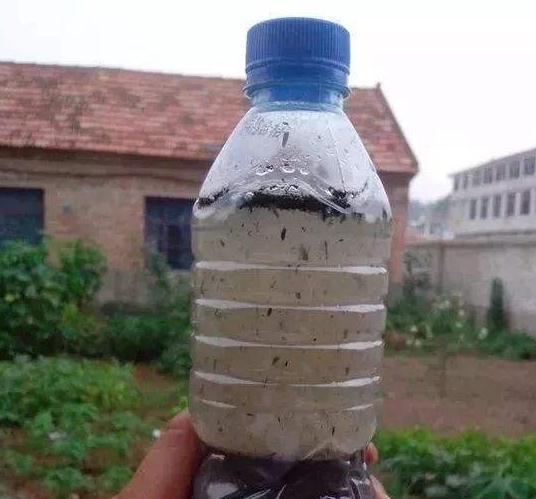 养花就浇5种水,养分足,防病害,啥花都喜欢,你用过吗