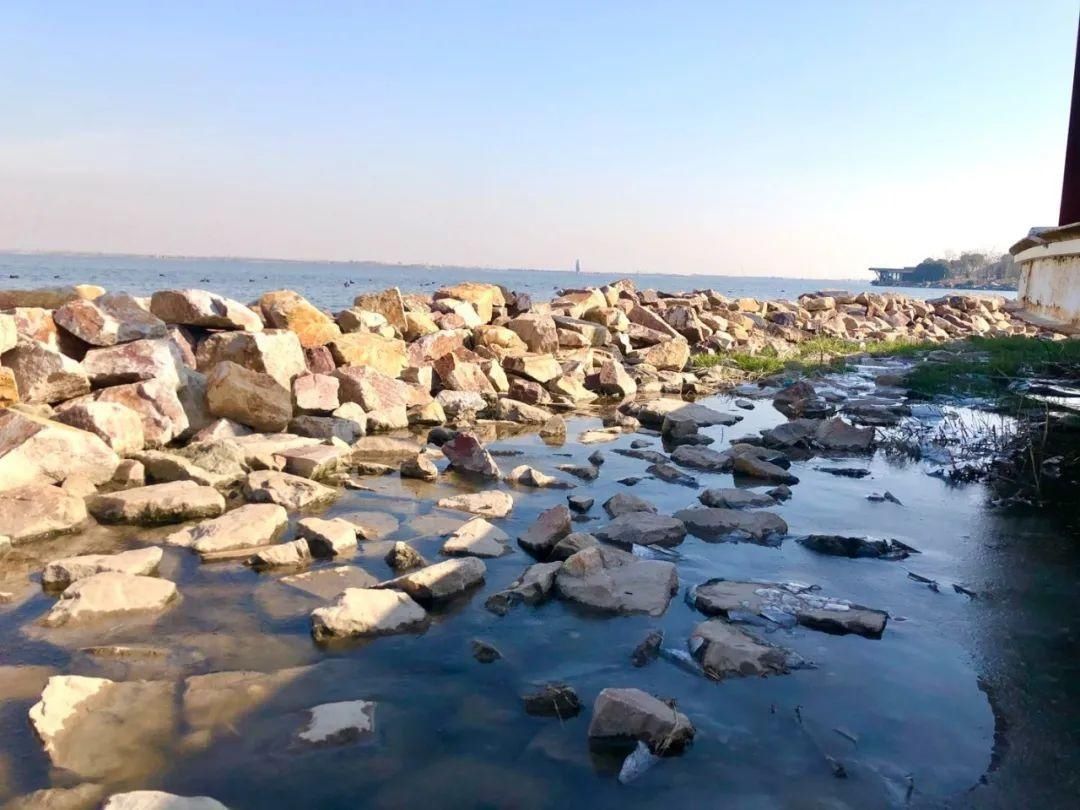 滴水湖“解冻”，鸭鸭化身“导游”带你游玩滴水湖