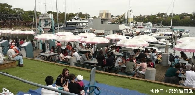 听说澳大利亚是个不会钓鱼都能钓上来鱼的地方,果然钓爆了