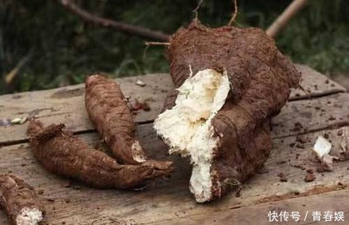 柑橘|别嫌它丑, 却是肝脏“保护神”, 每天吃点, 排毒养肝, 肝病不来扰