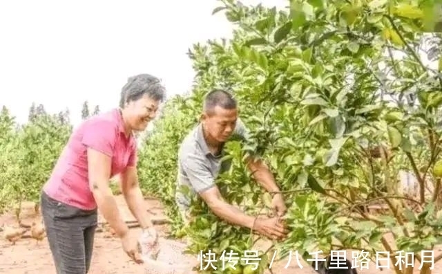 家庭条件改善！全红婵父兄在市里开饭店引关注，网友们可以去捧场