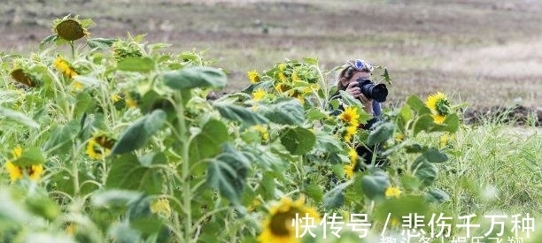 旺财旺|还有四周，三大生肖旧爱回归，兜兜转转，遍地生情，真情动人