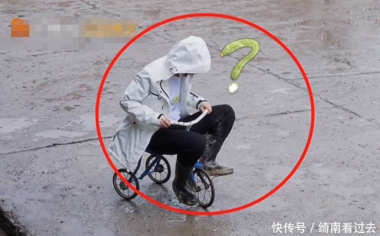 刘宪华无缘《向往5》,却意外出现在节目中,导演的做法有心啦!