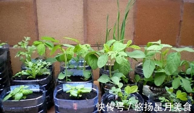 这9种物品用过之后别急着扔，试试日本主妇的方法，轻松变废为宝！