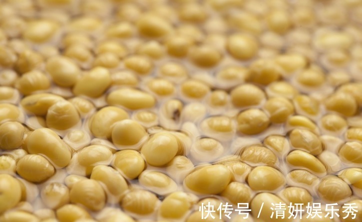 居家养花:自制高氮肥、磷钾肥,该准备哪些东西?