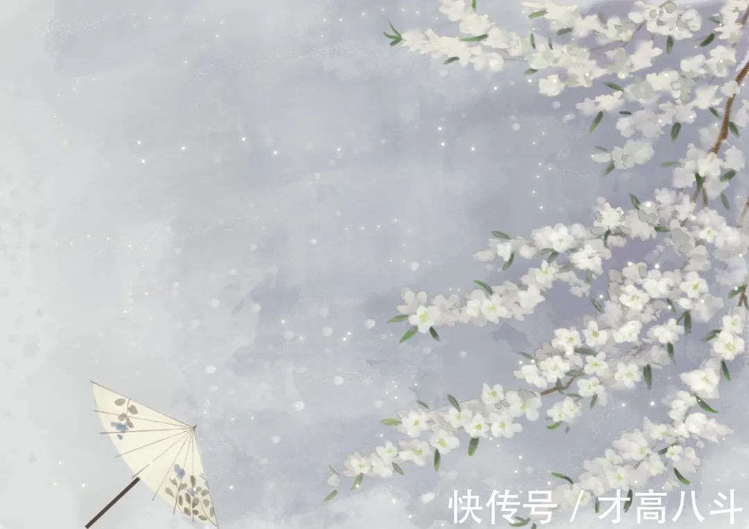 柳外楼#宋词齐美,意境美,语言美,词句更美