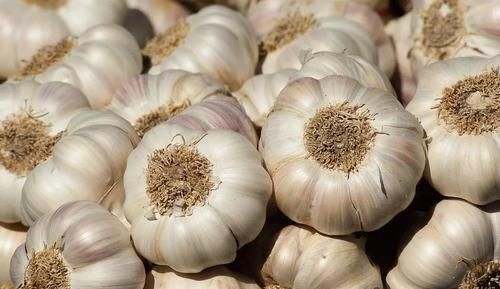 食物|血脂高了别发愁,常吃这6种食物,可以疏通血管,远离“血栓”