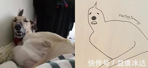 猫咪&“灵魂画手”笔下的宠物,抽象又搞笑的画风,完美抓住了“灵魂”