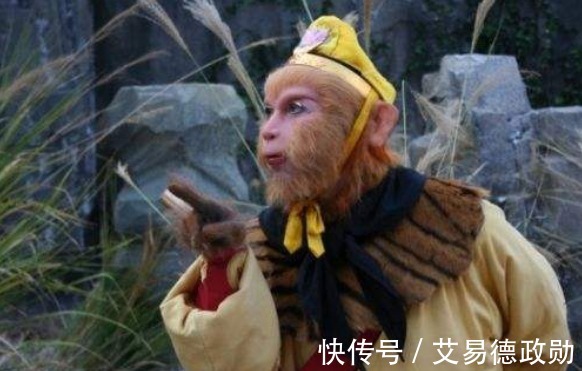 云栈|孙悟空为何要烧了猪八戒的老巢?你看看云栈洞里面有啥