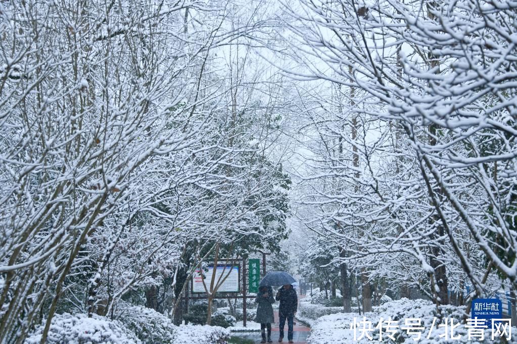 秭归县|全国多地迎降雪