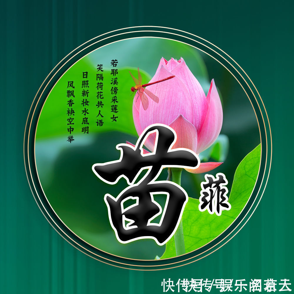 世人大!用你的姓氏当头像,20张唯美荷花大气图片,中国风华丽登场