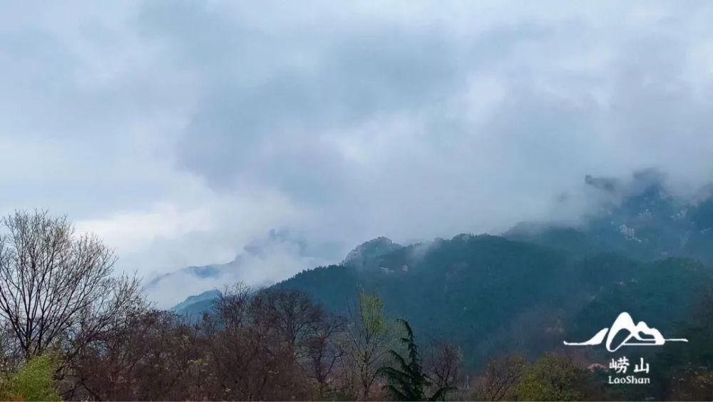 崂山|崂山下雪啦！细雨+飞雪+仙雾，这也太美了！