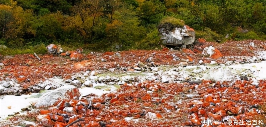 四川值得一游的3个景区，游客量有望上涨，其中之一为5A