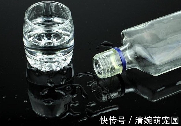 西兰花|肝不好的人，忌口“三白”，常吃“四绿”，肝一天比一天好