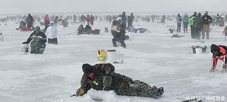 冬天钓鱼,饵料种类其实并不多,这几种就足够了