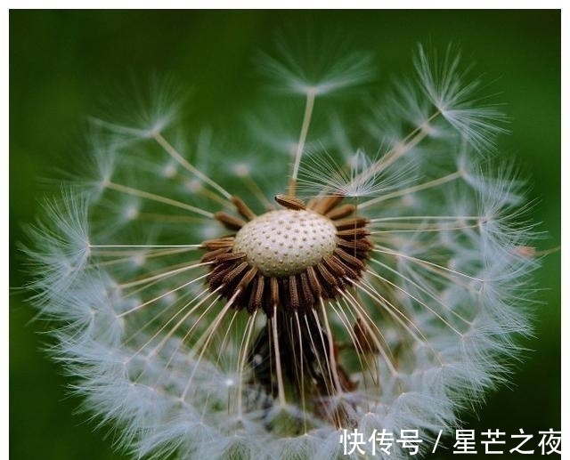 牵手|桃花满堂，再次牵手，一眼天涯，不离不弃，余生同行