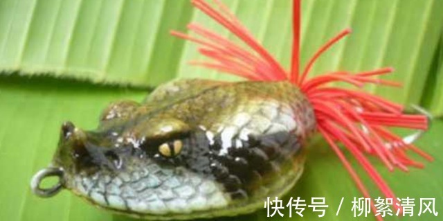 超级可爱|这样奇怪的饵,真的能钓到鱼吗!