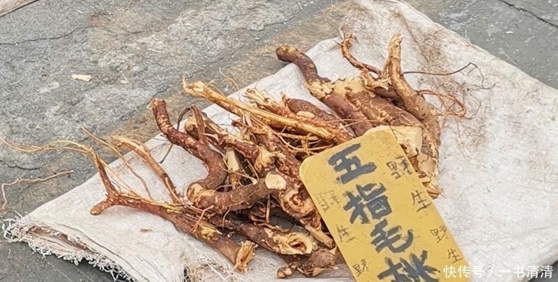 农村老大爷路边卖“树根”,很多人看无人敢买,我一看直接包圆
